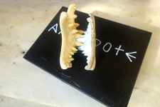 Mykonos Biennale 2015 - Film Festival - Ann Deleporte Antidote Box