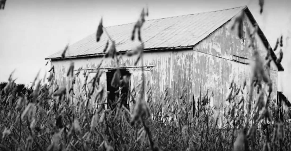 Mykonos Biennale 2015 - Film Festival -  An Undeniable Voice - screen shot