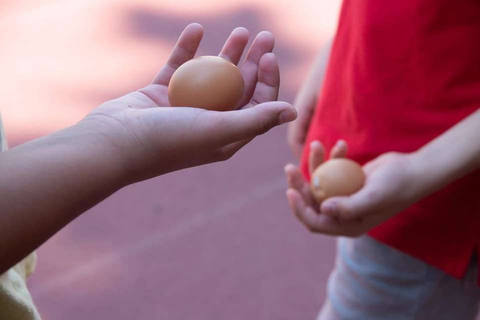 Mykonos Biennale 2015 - Film Festival -  No Offense 2 - screen shot