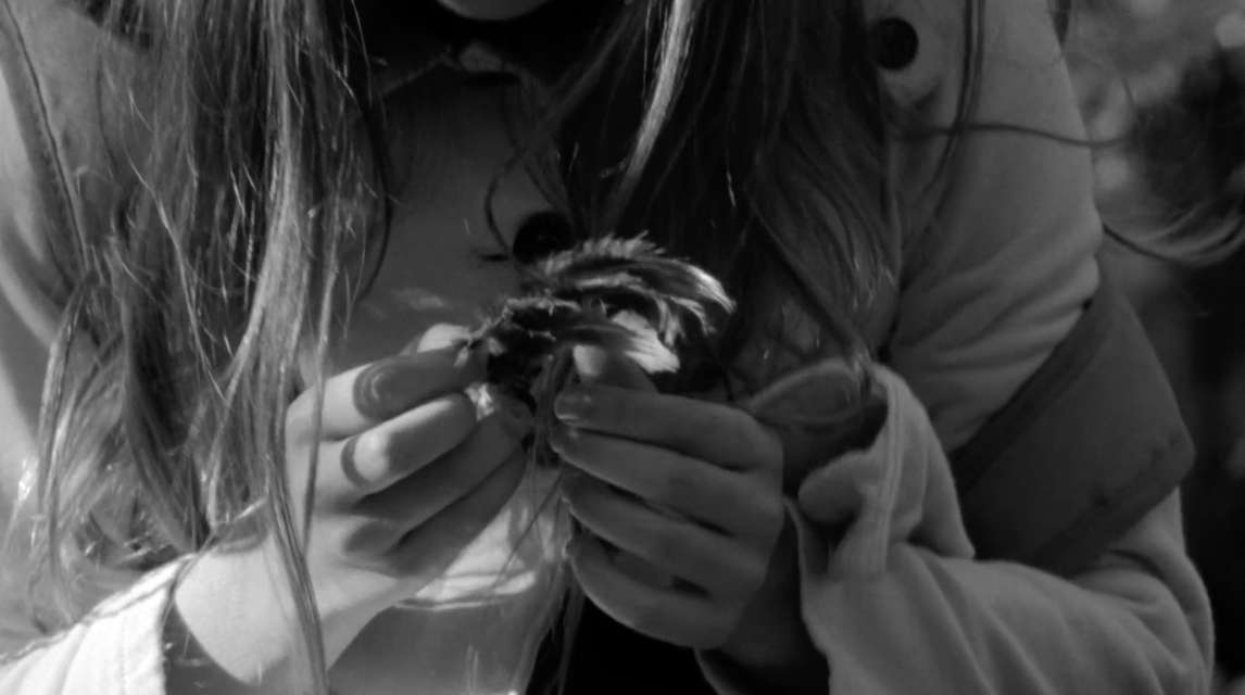 Mykonos Biennale 2015 - Film Festival -  Little Wolf - screen shot