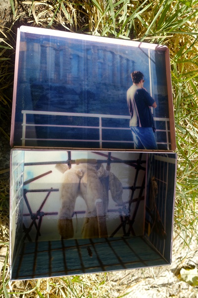 Mykonos Biennale  -  Antidote Box - screen shot Mykonos Biennale  -  Antidote Box - screen shot