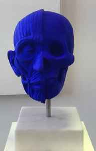 Mykonos Biennale 2015 - Film Festival - Stathis Alexopoulos No Antidote