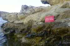 Mykonos Biennale 2015 - Film Festival - Jim Shaw Antidote Box