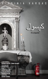 FIRE EXTINGUISHER Poster