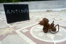 Mykonos Biennale 2015 - Film Festival - Heide Hatry Antidote Box