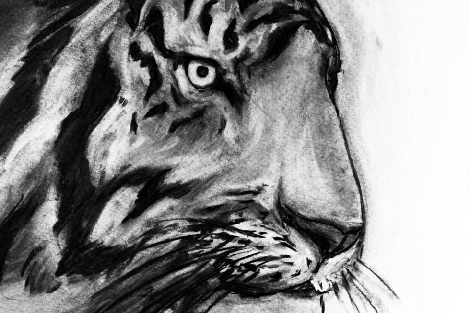 Mykonos Biennale 2015 - Film Festival -  Hourvari-5 - screen shot