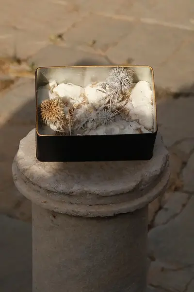 Mykonos Biennale - Antidote Box - screen shot Mykonos Biennale - Antidote Box - screen shot