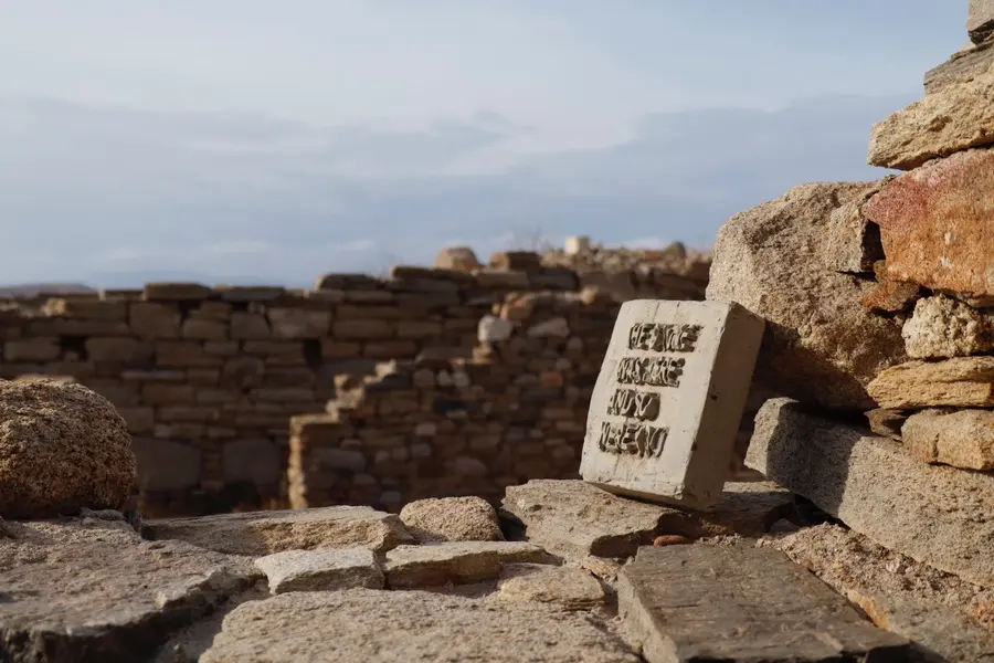 Mykonos Biennale  -  Moteiturkassi - screen shot