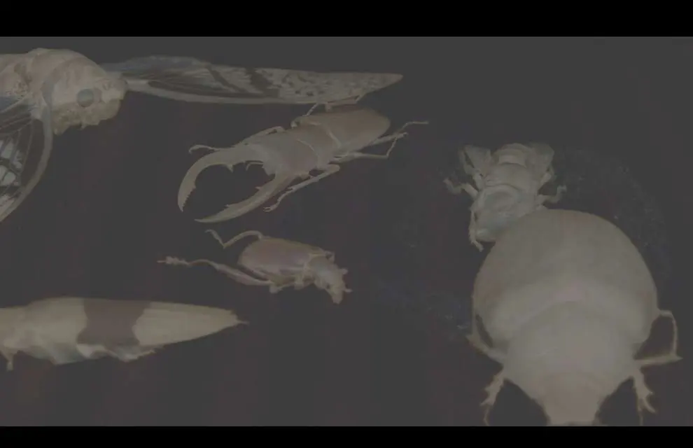 Mykonos Biennale 2015 - Film Festival - Toiler's Dirge 3 - screen shot